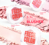 NEW SimplySiti Fresh Color Blusher