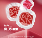 NEW SimplySiti Fresh Color Blusher